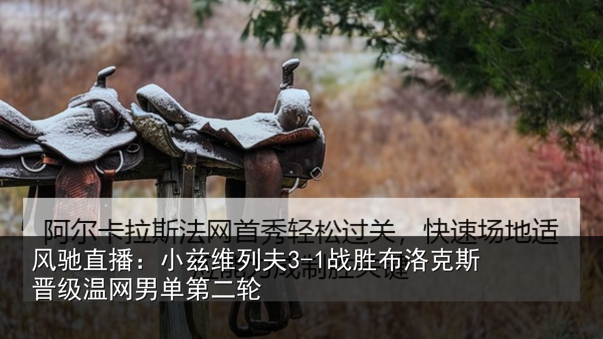 风驰直播：小兹维列夫3-1战胜布洛克斯晋级温网男单第二轮