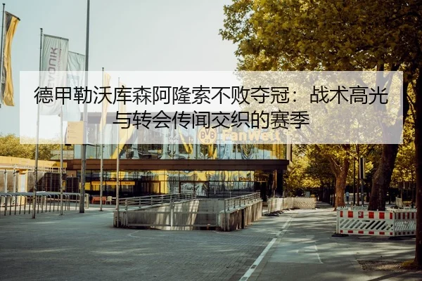 德甲勒沃库森阿隆索不败夺冠：战术高光与转会传闻交织的赛季
