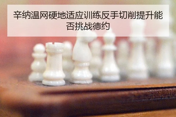 辛纳温网硬地适应训练反手切削提升能否挑战德约