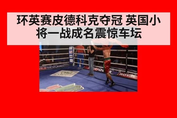 环英赛皮德科克夺冠 英国小将一战成名震惊车坛