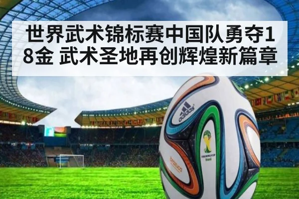 世界武术锦标赛中国队勇夺18金 武术圣地再创辉煌新篇章